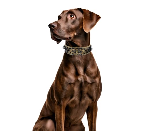 Kawagogo Animal Collar in Width:2'' Adjust:17''-20'', Black