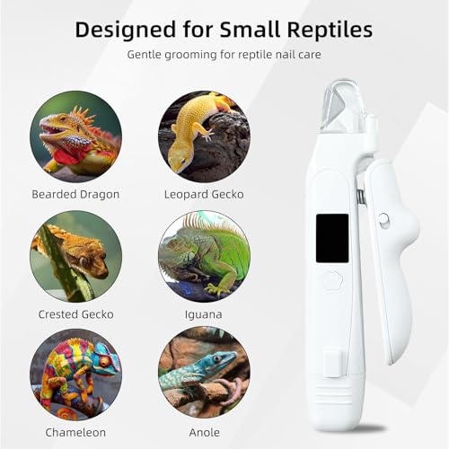 Lyrzzey Pet Supplies in White
