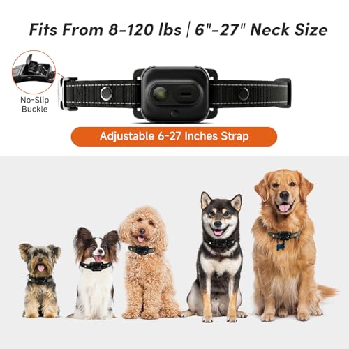 MariMoki Animal Collar in Black