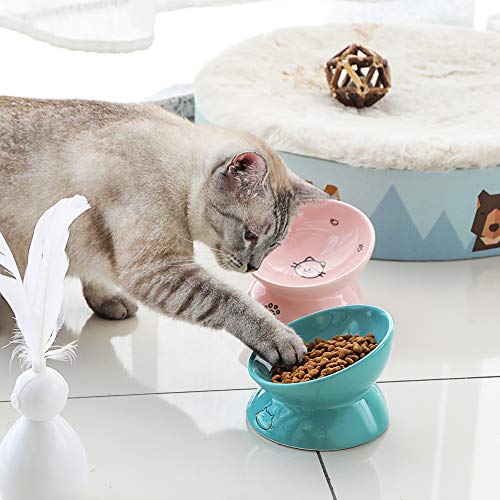 Sweejar Home Pet Feeder in 147ml, Turquoise