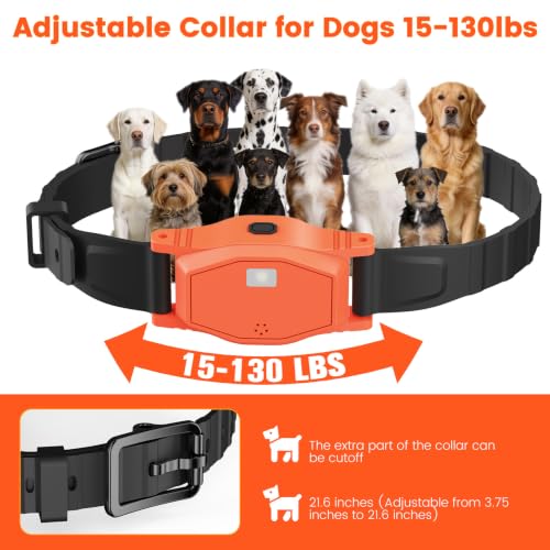 Pawton Animal Collar in Medium, Large, Orange for 1 Dog