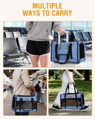 Petux Animal Carrier in 20.0"L x 13.0"W x 13.0"H, Blue