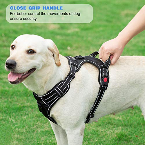 tobeDRI Animal Harness in Small, Black