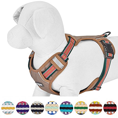 Blueberry Pet Animal Harness in Small, Dark Green&Pink