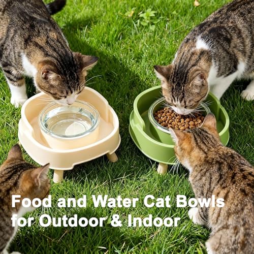 VYTTOX Pet Feeder in Green