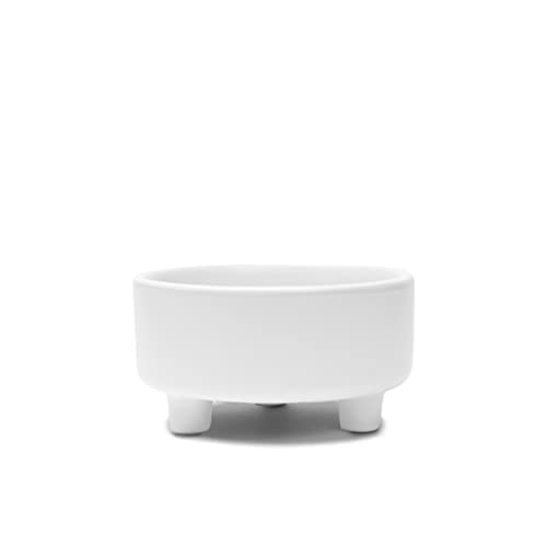 Waggo Pet Feeder in Small, White
