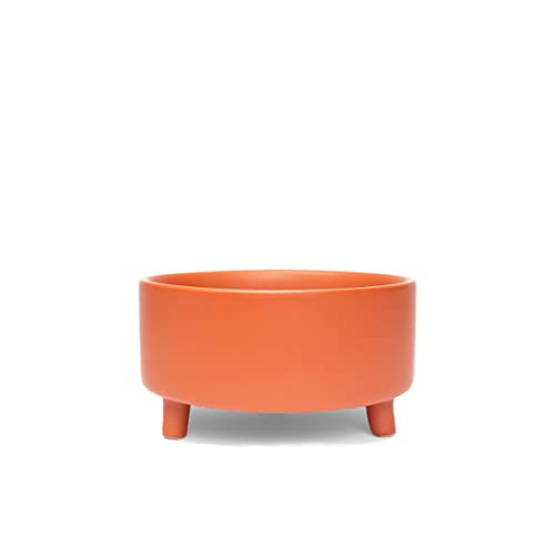 Waggo Pet Feeder in Small, Teracotta