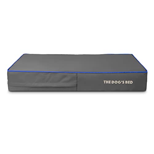The Dog's Balls Pet Supplies in Medium Spare Cover (4" Deep), Grey with Dark Blue Trim