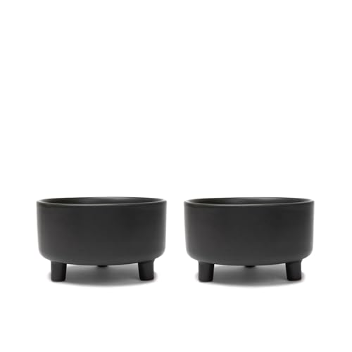 Waggo Pet Feeder in Medium(2-Pack), Black