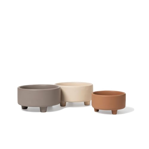 Waggo Pet Feeder in Small, Clay