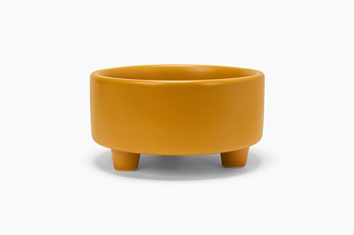 Waggo Pet Feeder in Small, Mustard