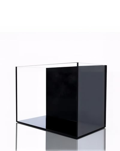 minilake Vivarium in 3 Gallon, Black