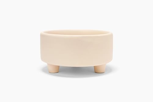 Waggo Pet Feeder in Small, Buttercream