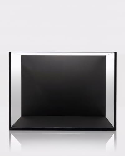 minilake Vivarium in 3 Gallon, Black