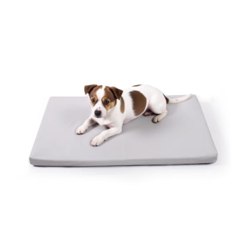 Liliowons Pet Bed Mat in 30"L x 19"W, Gray