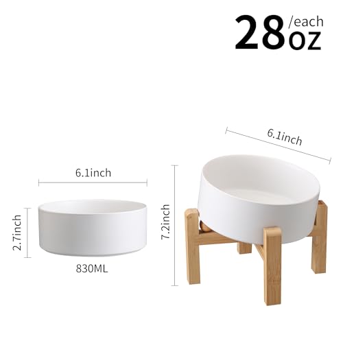DJJJOOYS Pet Feeder in Slanted Small Dog Bowl, White