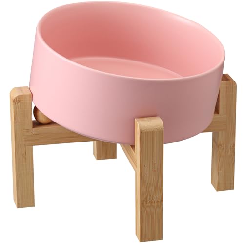 DJJJOOYS Pet Feeder in Slanted Medium & Large Dog Bowl, Pink