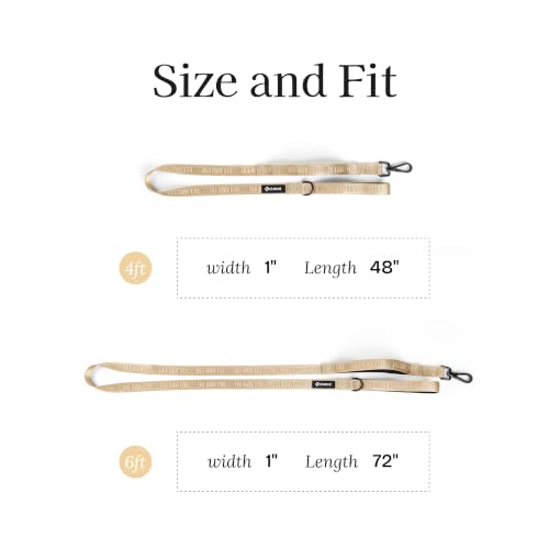 Fei and Eve Leash in 4FT, Champagne