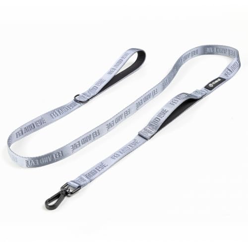 Fei and Eve Leash in 4FT, Twilight Gray