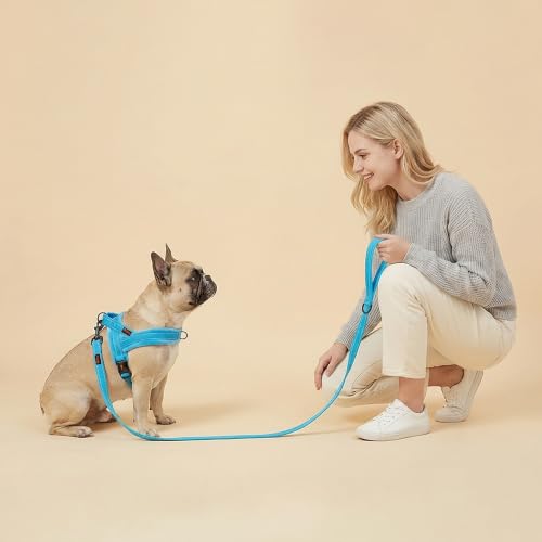 Didog Leash in 5/8''x 6 FT, Blue