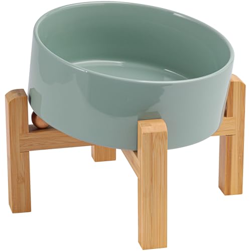 DJJJOOYS Pet Feeder in Slanted Medium & Large Dog Bowl, Light Green