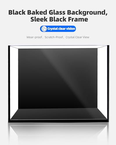 minilake Vivarium in 5 Gallon, Black