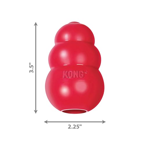 KONG Pet Toy in Medium (Pack of 1), Red