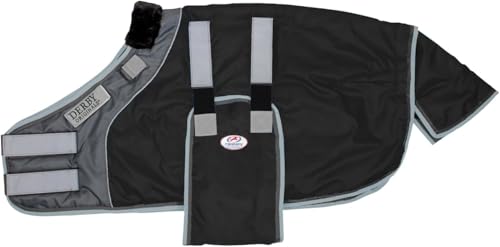 Derby Originals Pet Apparel in Medium (36”-42”), Black