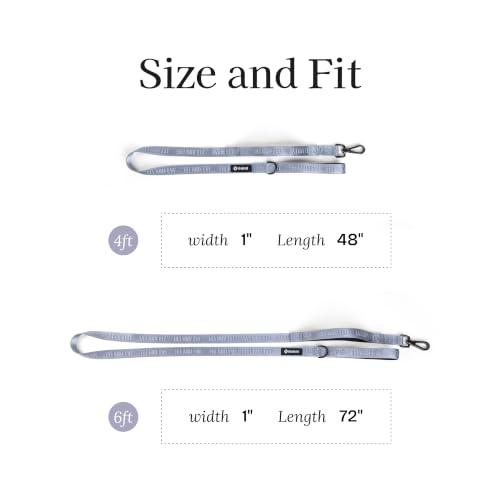 Fei and Eve Leash in 4FT, Twilight Gray