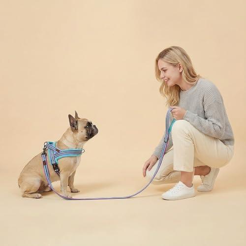 Didog Leash in 5/8''x 6 FT, Mixed-Blue