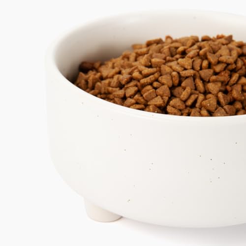 Waggo Pet Feeder in Small, Speckle
