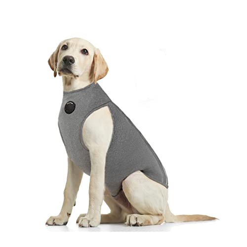 NeoAlly Pet Apparel in X-Small, Grey