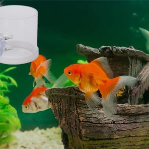 TOPINCN Pet Feeder in Clear