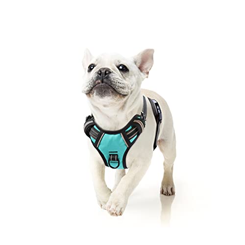 HEELE Animal Harness in S, Turquoise