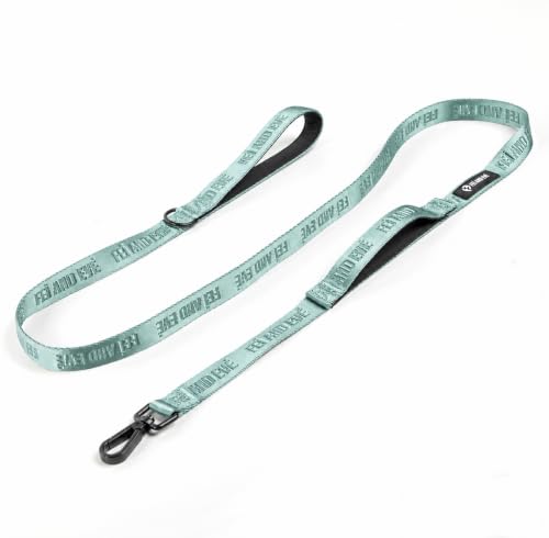 Fei and Eve Leash in 4FT, Glacier Green
