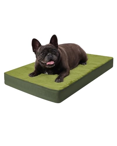 KSIIA Pet Bed Mat in 23.0"L x 17.0"W x 3.0"Th, Green