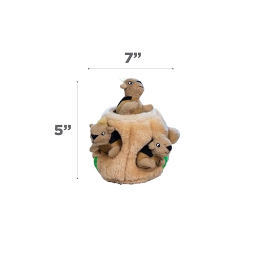 Outward Hound Pet Toy in Small (Pack of 1), Squirrel Small