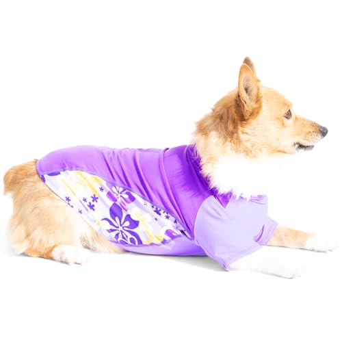 PlayaPup Pet Apparel in XX-Small, Purple Wave