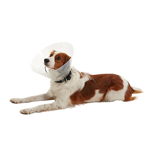 Buster Animal Recovery Collar Cone in 30cm