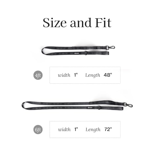 Fei and Eve Leash in 4FT, Black