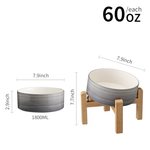 DJJJOOYS Pet Feeder in Slanted Medium & Large Dog Bowl, Grey White