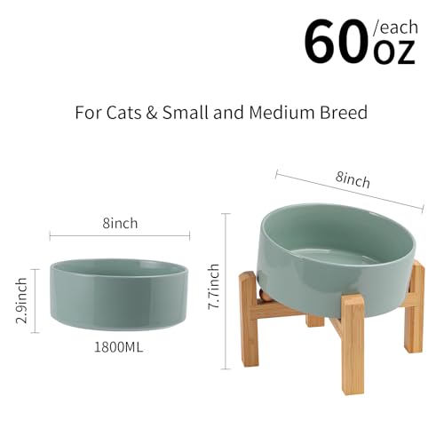 DJJJOOYS Pet Feeder in Slanted Medium & Large Dog Bowl, Light Green