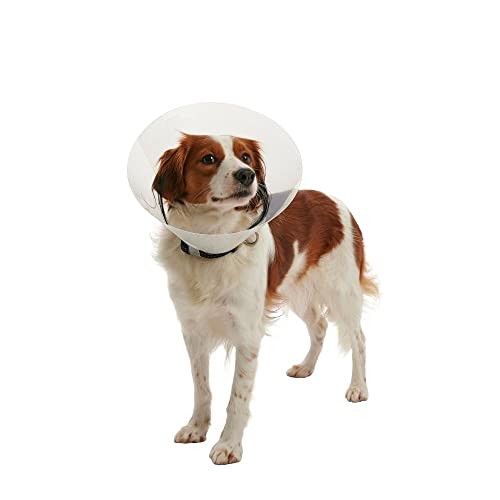 Buster Animal Recovery Collar Cone in 30cm