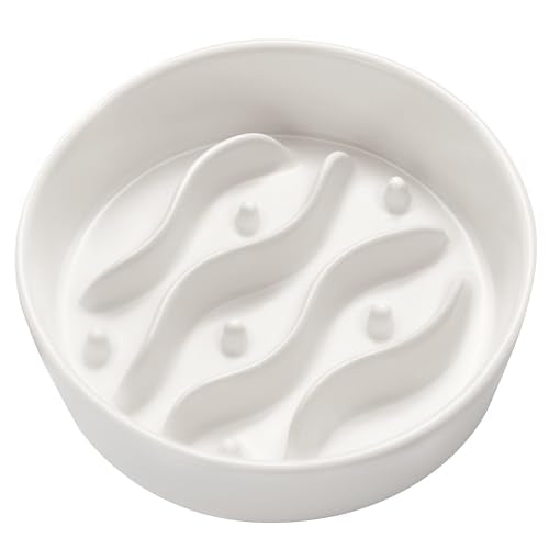 MOPANG Pet Feeder in 6 Inches, White