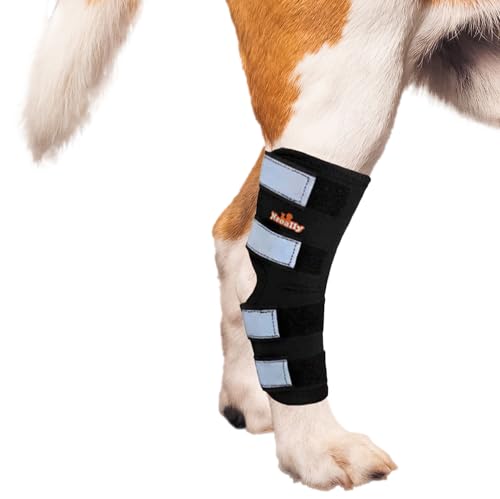 NeoAlly Pet Supplies in X-Small, Black