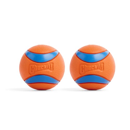 Chuckit! Pet Toy in Medium, Ultra