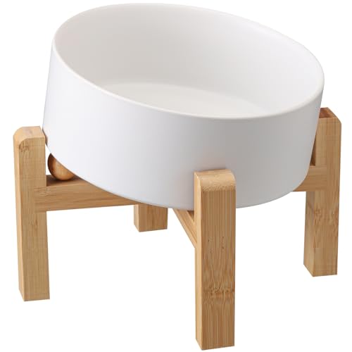 DJJJOOYS Pet Feeder in Slanted Small Dog Bowl, White