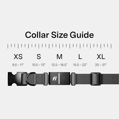 Fi Location Tracker in X-Small, Gray