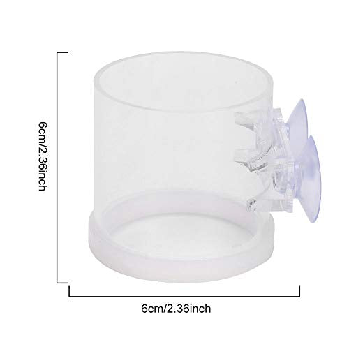 TOPINCN Pet Feeder in Clear