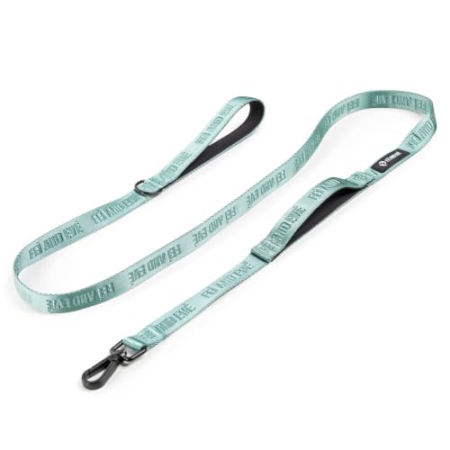 Fei and Eve Leash in 6FT, Glacier Green